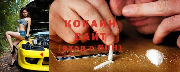 ГАЛЛЮЦИНОГЕННЫЕ ГРИБЫ Алексин