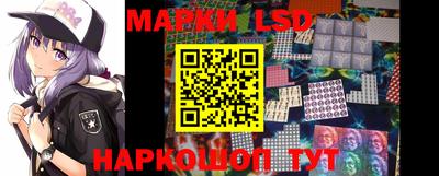 стаф Краснодар