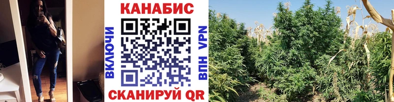Бошки марихуана OG Kush  Жуковский 